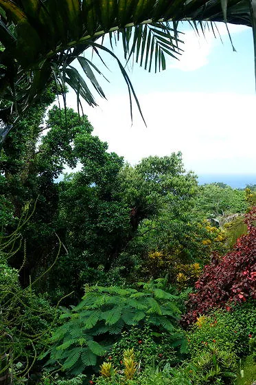 Hotel Mockingbird Hill Port Antonio