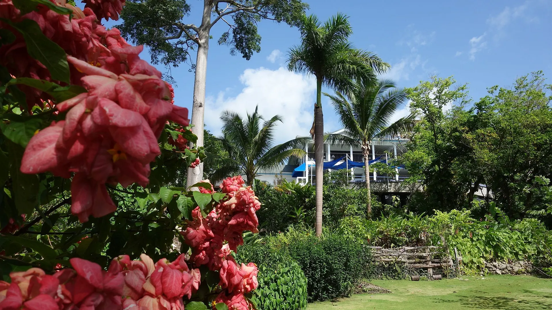 Hotel Mockingbird Hill Port Antonio