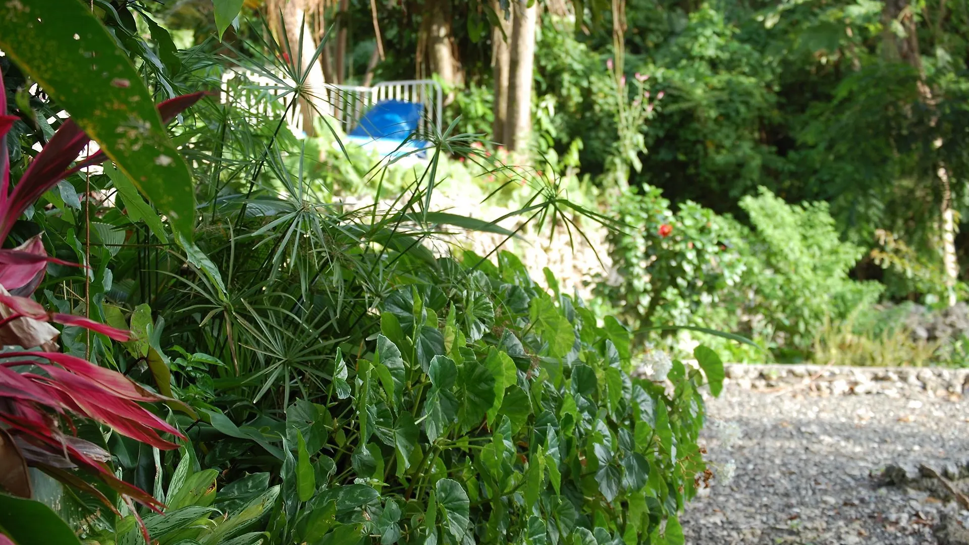 Hotel Mockingbird Hill Port Antonio