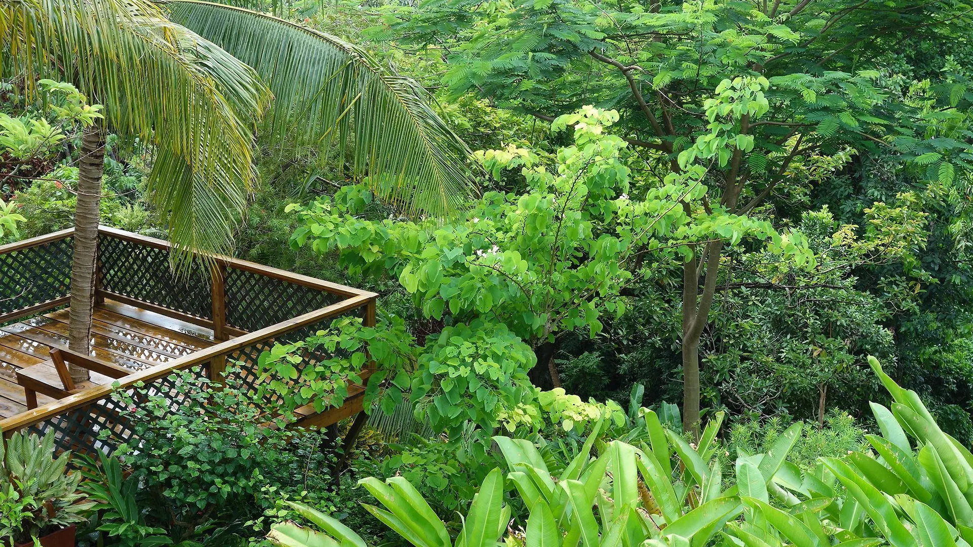 Hotel Mockingbird Hill Port Antonio 4*,  Jamaica