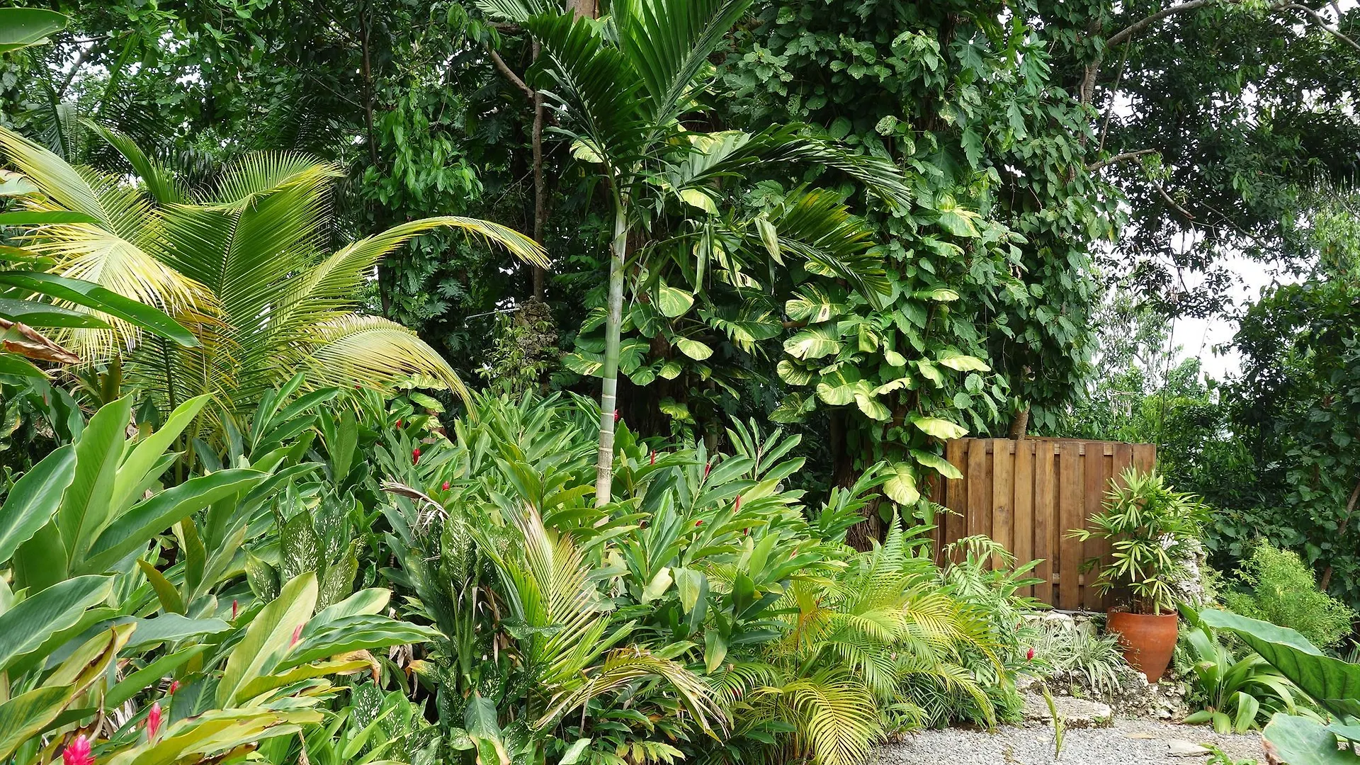 ****  Hotel Mockingbird Hill Port Antonio Jamaica